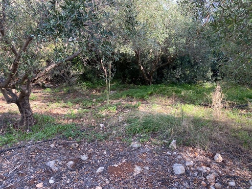 Terrain 2019 m² en Crète