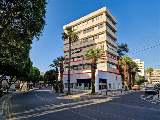Business 163 m² Nicosia