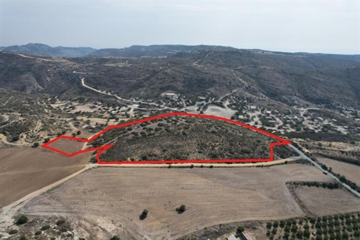 Grundstück 39131 m² Larnaka