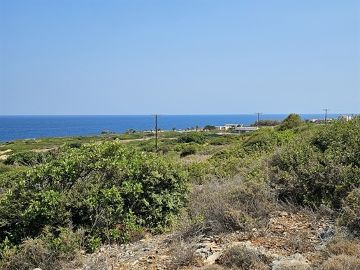 Terrain de 2100 m² en Crète