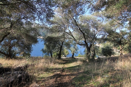 Grond 4300 m² in Corfu
