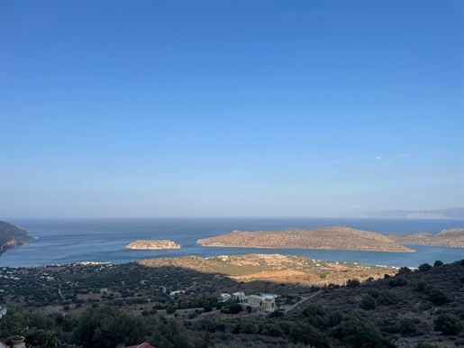 Terrain de 11159 m² en Crète