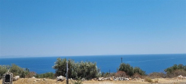 (For Sale) Land Agricultural Land || Lakonia/East Mani - 8.275 Sq.m, 160.000€