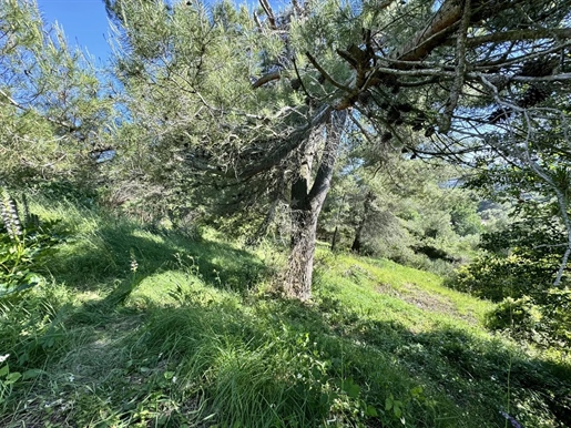 Mougins - La Valmasque - Plot With Building Permit