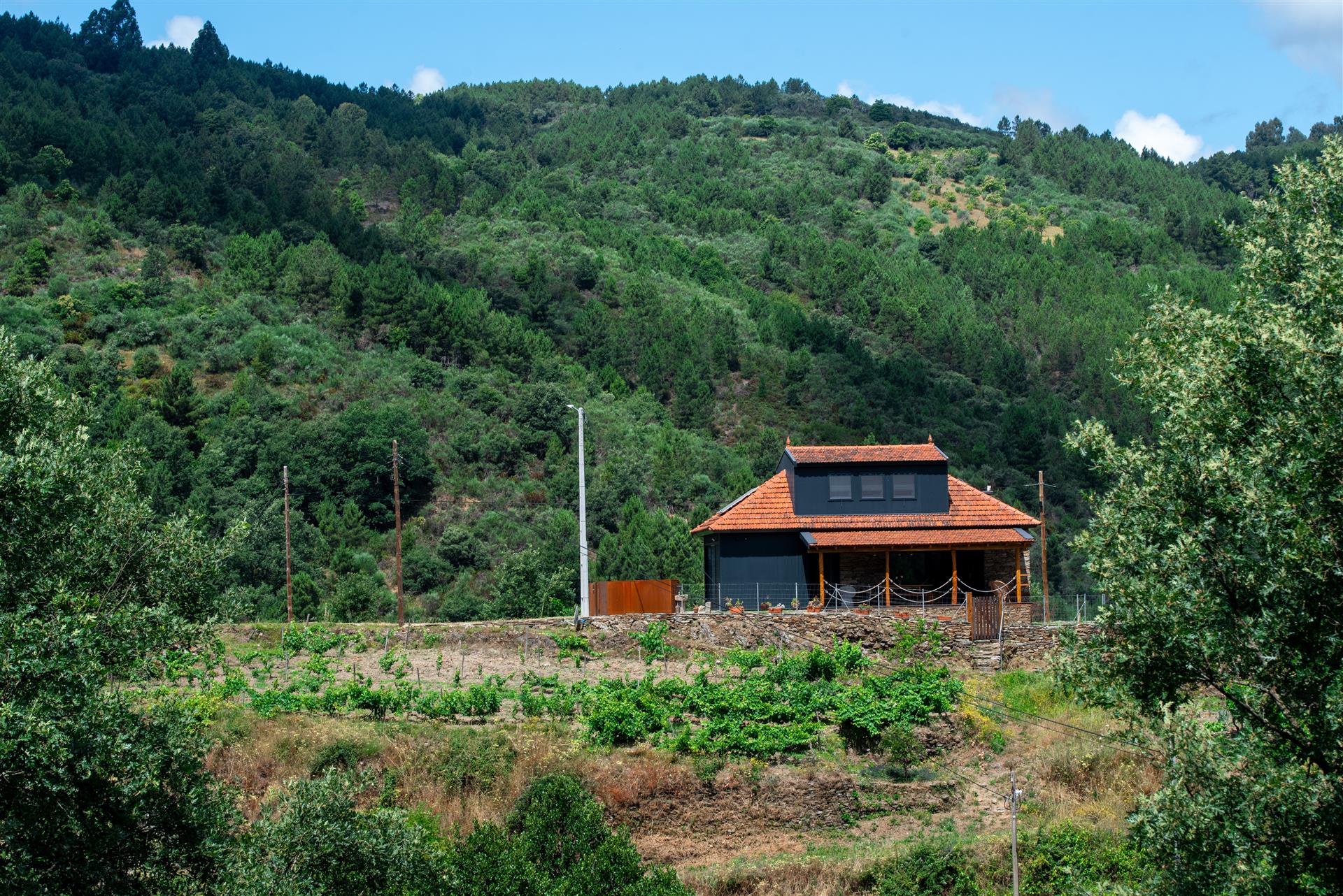 Maison de montagne