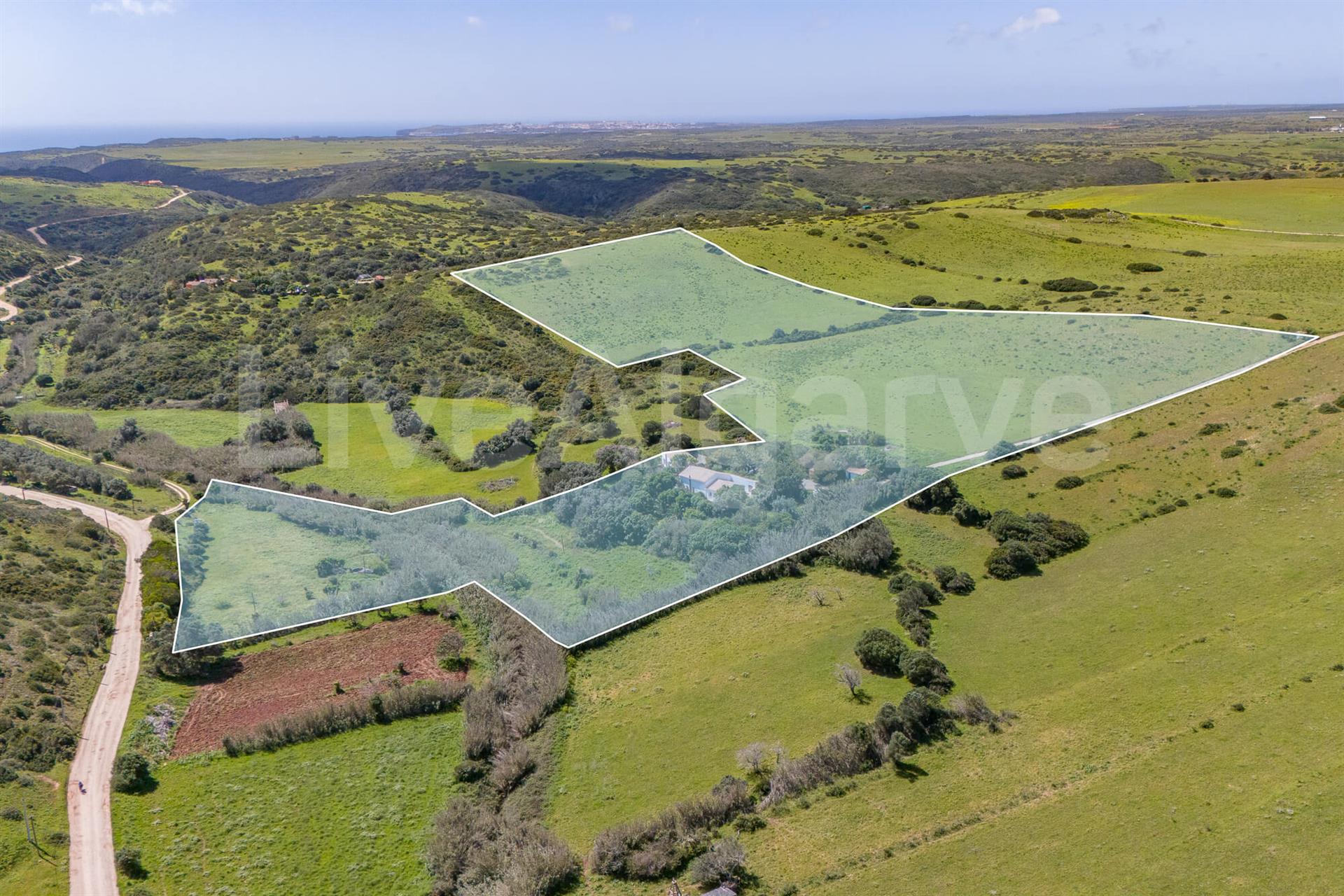 Campagne | Domaine agricole isolé T2 à l’intérieur de la réserve naturelle de Raposeira à vendre - 
