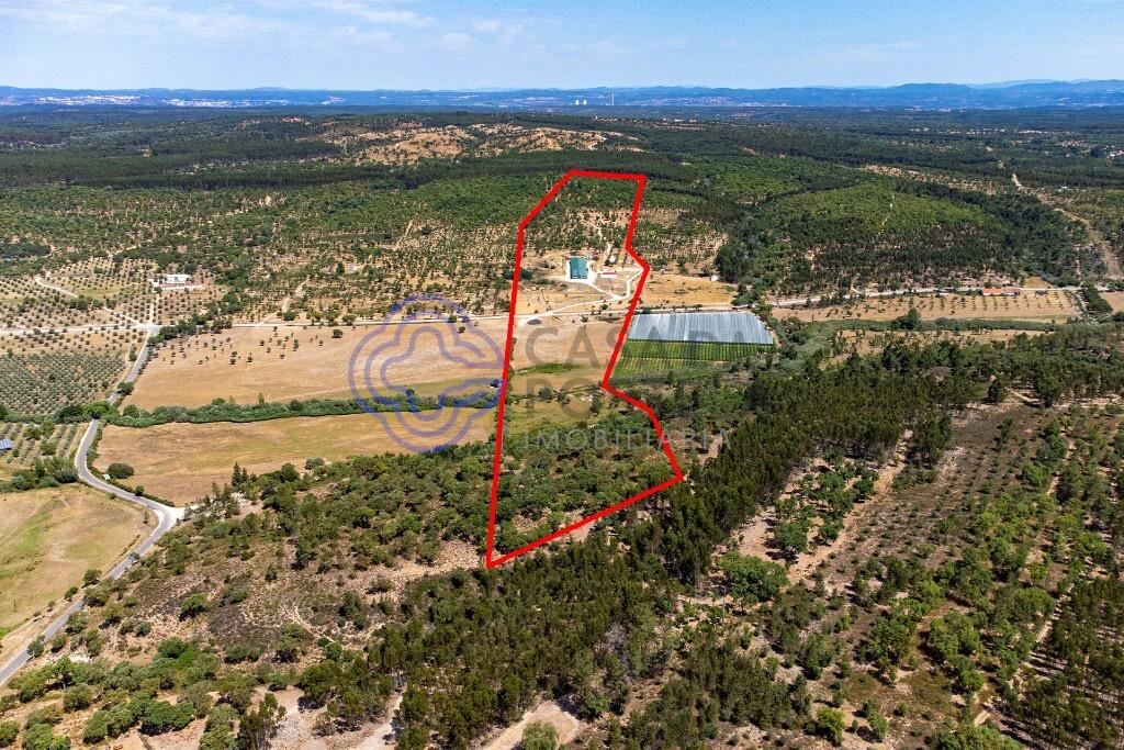 3 bedroom farm with 17 ha and aviary with high profitability in Abrantes