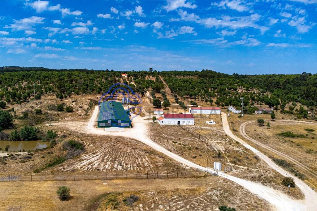 3 bedroom farm with 17 ha and aviary with high profitability in Abrantes