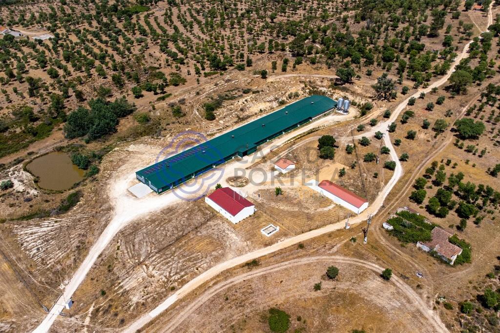 3 bedroom farm with 17 ha and aviary with high profitability in Abrantes