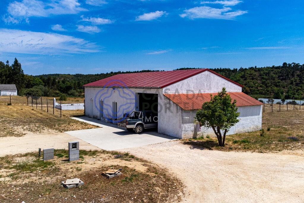 3 bedroom farm with 17 ha and aviary with high profitability in Abrantes
