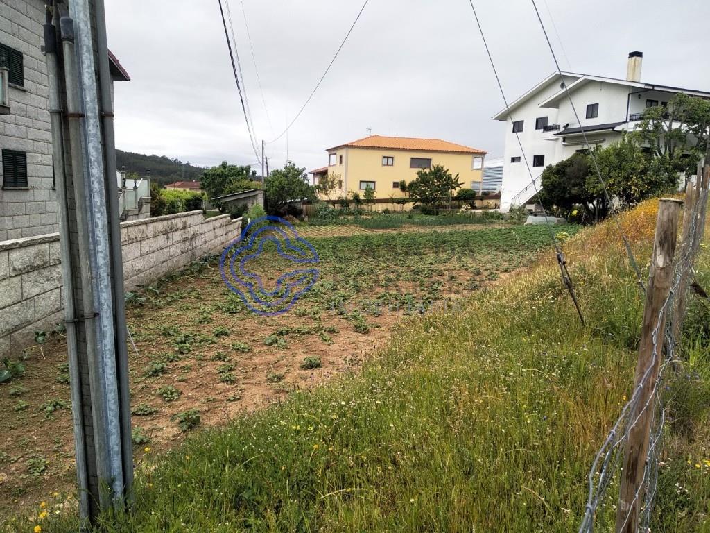 Purchase: Land (4560)