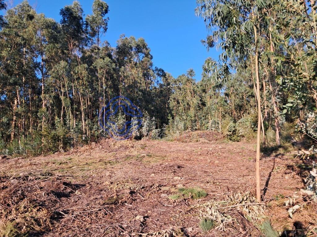 Terreno com 2970m2, com possibilidade de construção,de moradia de 4 frentes ou 2 moradias geminadas.