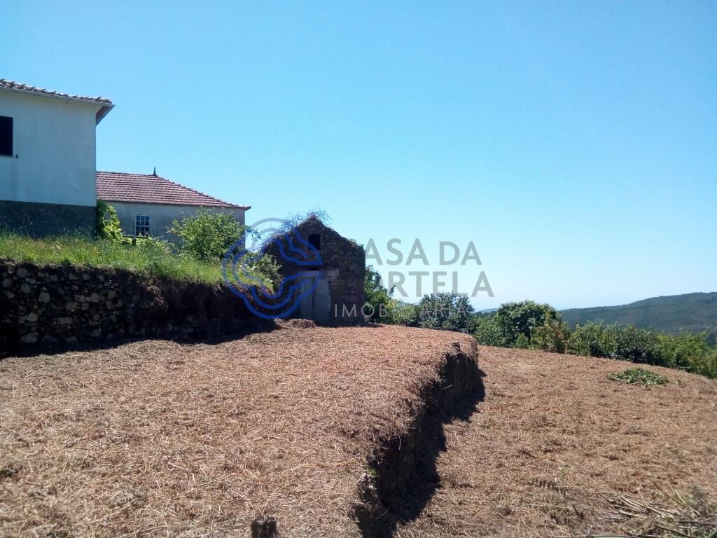 Cumpărare: Casă (4910)