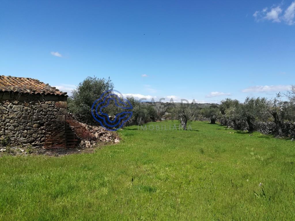 6 bedroom building, with backyard in Oledo to recover
