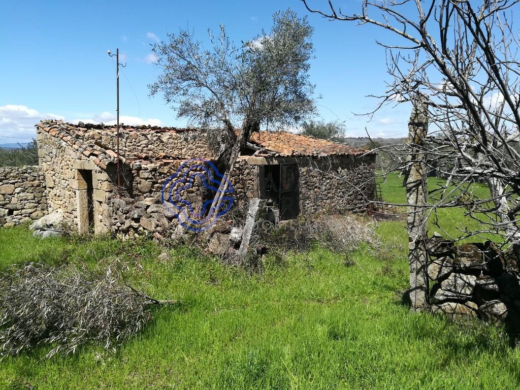 6 bedroom building, with backyard in Oledo to recover