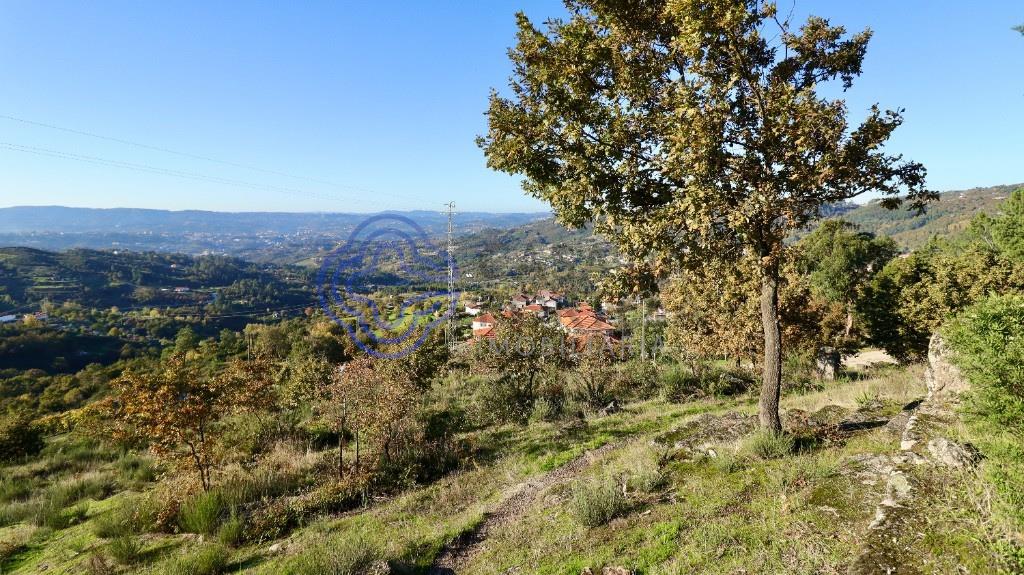 Land with Chapel in Telhe - Soalhães - Marco de Canaveses