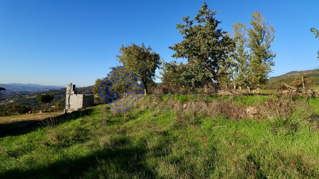 Agricultural Land in Telhe - Soalhães - Marco de Canaveses