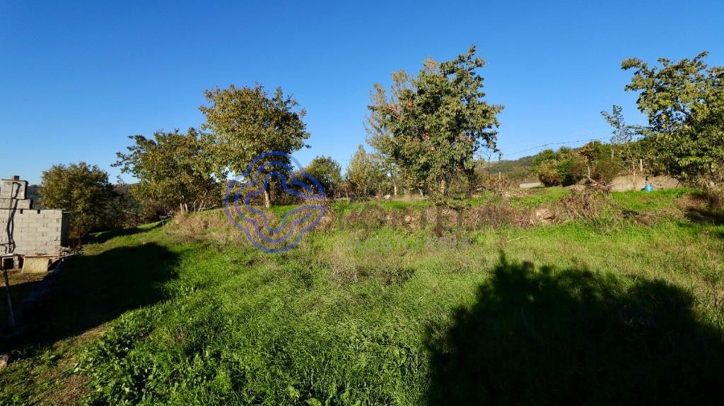 Agricultural Land in Telhe - Soalhães - Marco de Canaveses