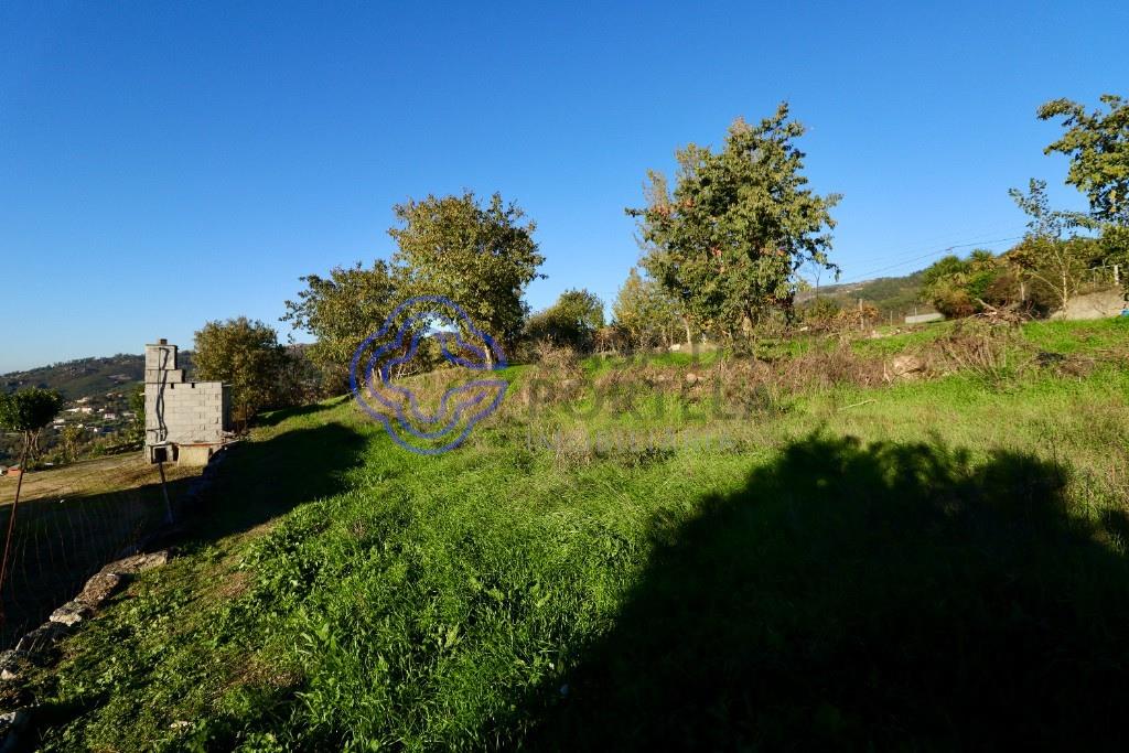 Agricultural Land in Telhe - Soalhães - Marco de Canaveses