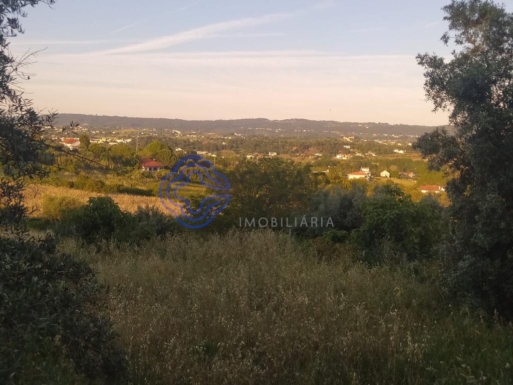 Plot of land with approved project 2 minutes from the city center of Tomar