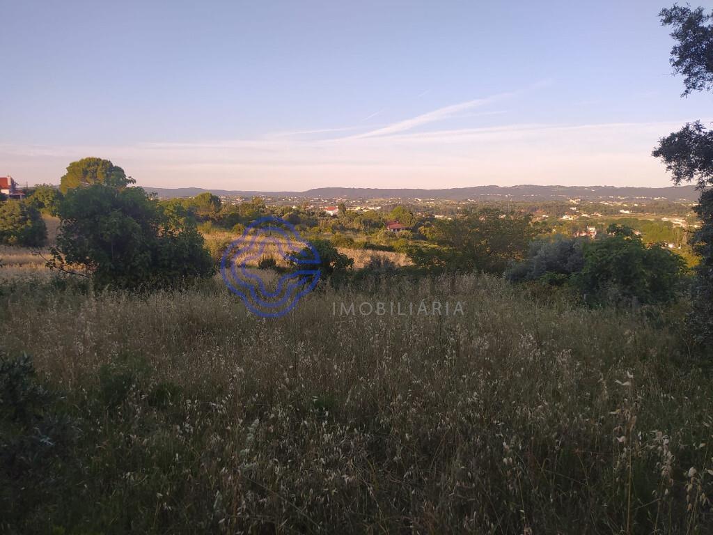 Plot of land with approved project 2 minutes from the city center of Tomar