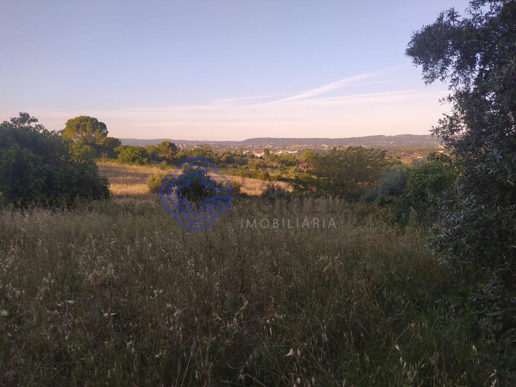 Plot of land with approved project 2 minutes from the city center of Tomar