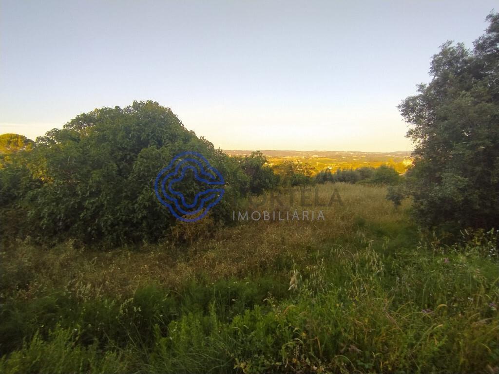Plot of land with approved project 2 minutes from the city center of Tomar