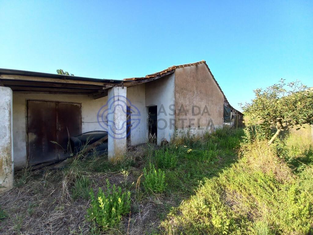 Land with storage room 5 min from the city of Tomar in Central Portugal