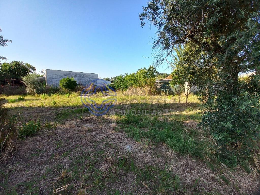Land with storage room 5 min from the city of Tomar in Central Portugal