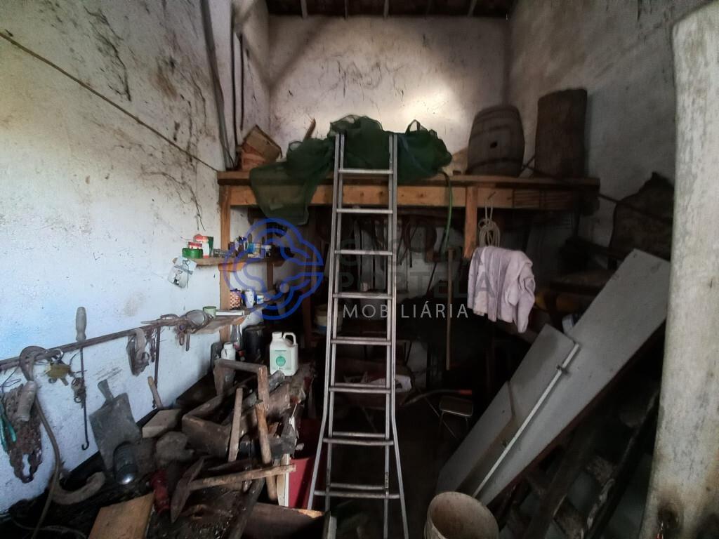 Land with storage room 5 min from the city of Tomar in Central Portugal