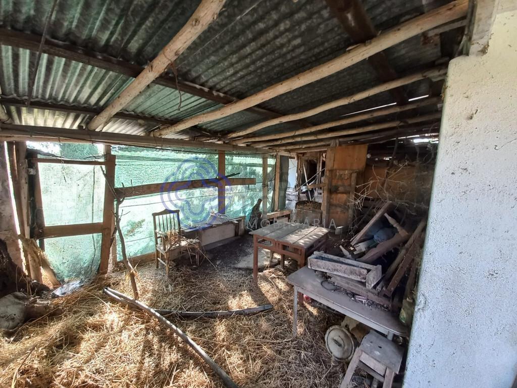 Land with storage room 5 min from the city of Tomar in Central Portugal
