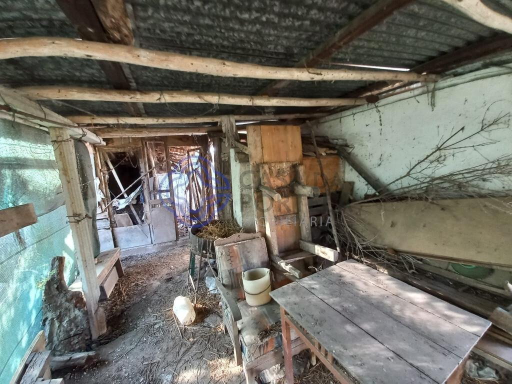 Land with storage room 5 min from the city of Tomar in Central Portugal