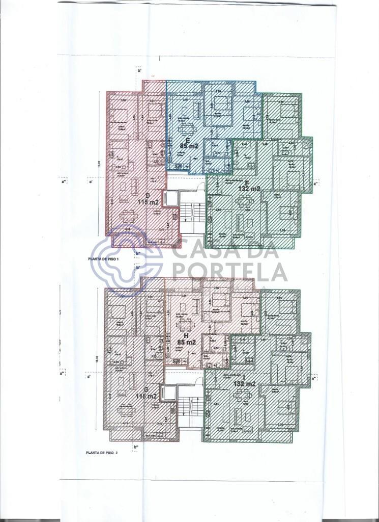 T2-Novo! Nogueira da Regedoura.