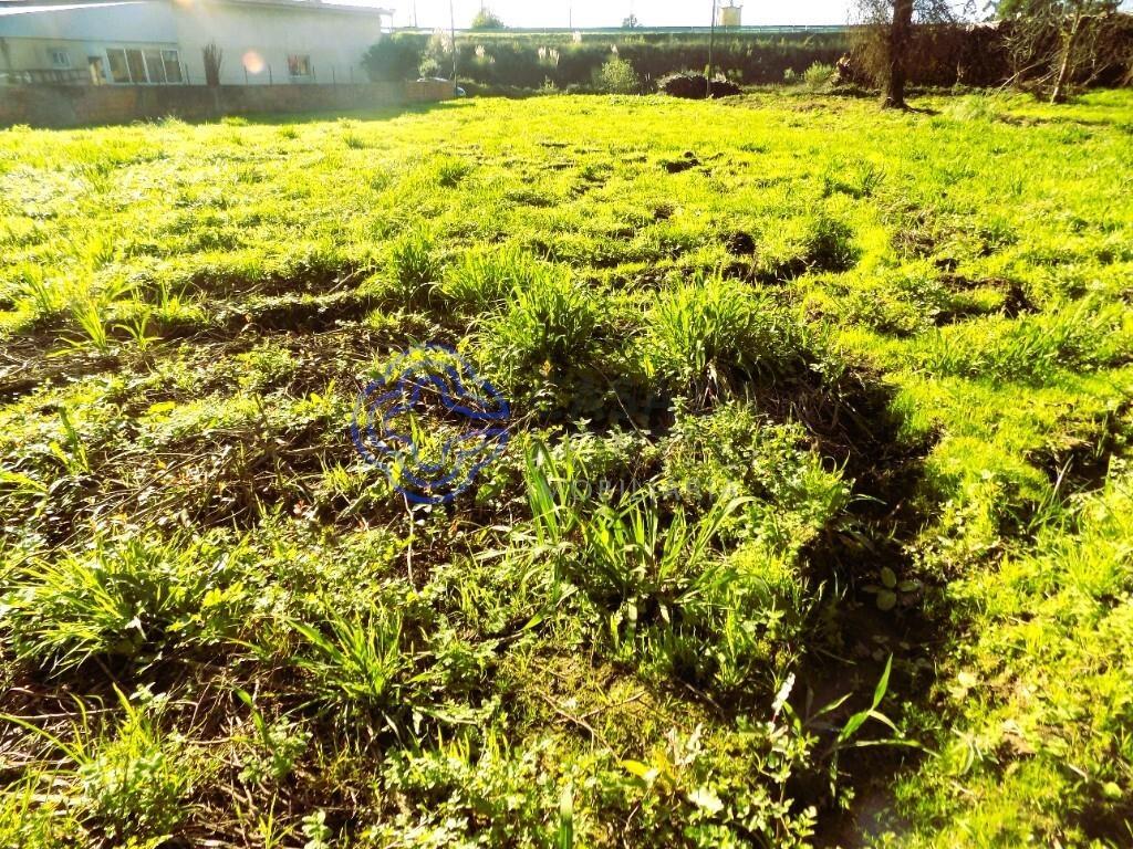 Terreno-Área 1738 M2, Com Excelentes Acessos-A1-Lisboa-Porto A41 Crep Norte-Este.