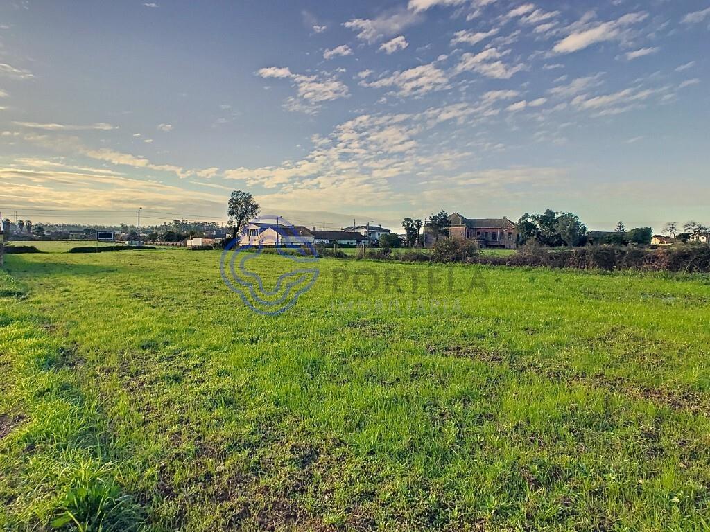 Aankoop: Terrein (3860)