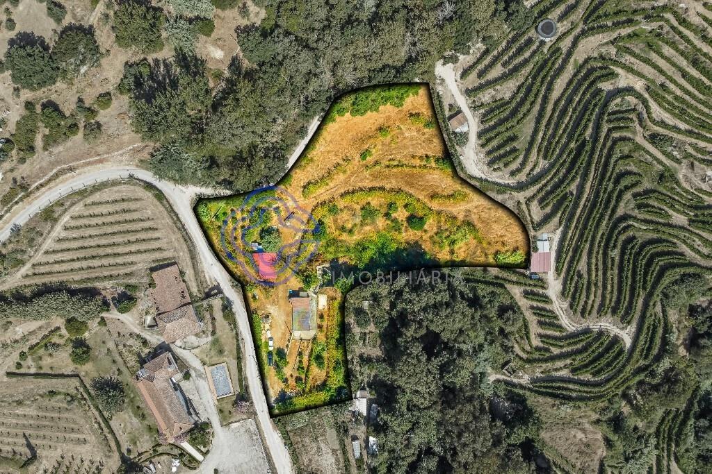 Small farm of 5750m² with existing construction and Remodeling Project in Baião