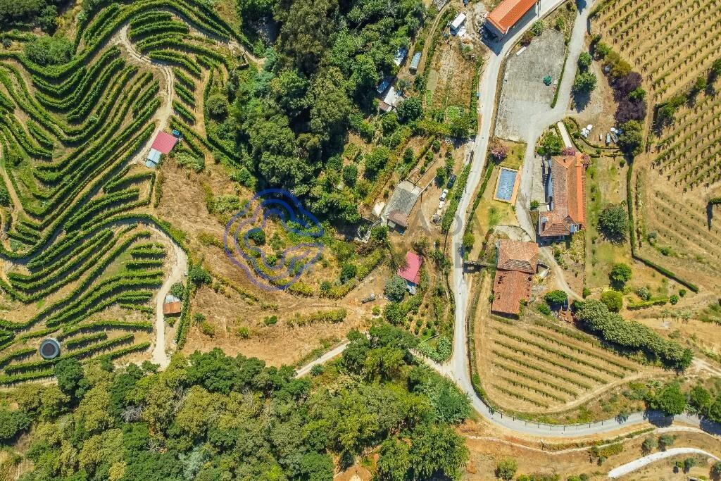 Small farm of 5750m² with existing construction and Remodeling Project in Baião