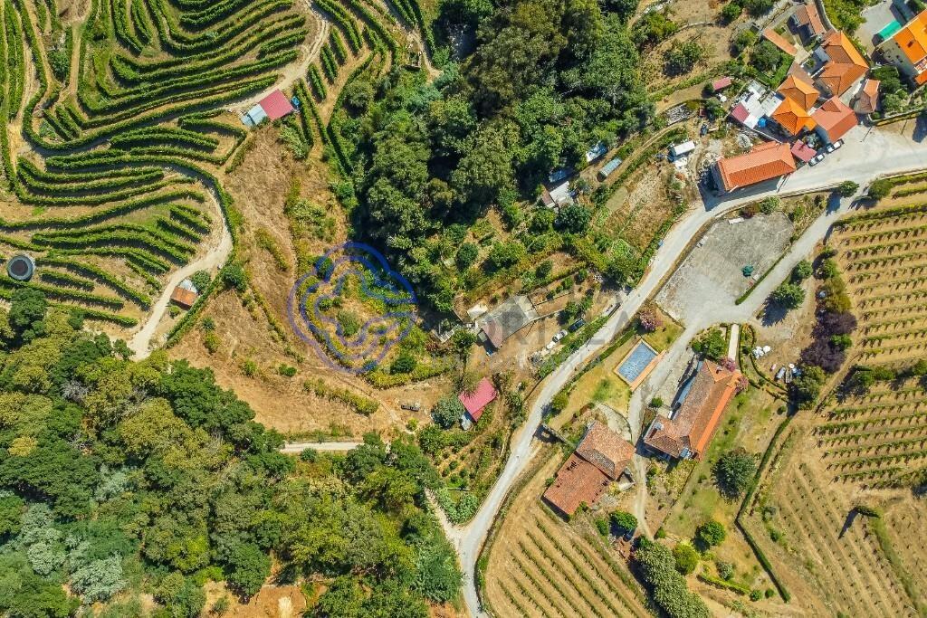 Small farm of 5750m² with existing construction and Remodeling Project in Baião