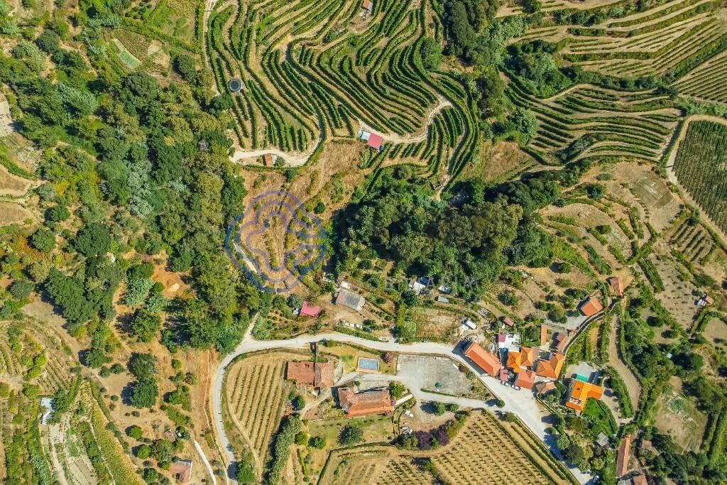 Small farm of 5750m² with existing construction and Remodeling Project in Baião