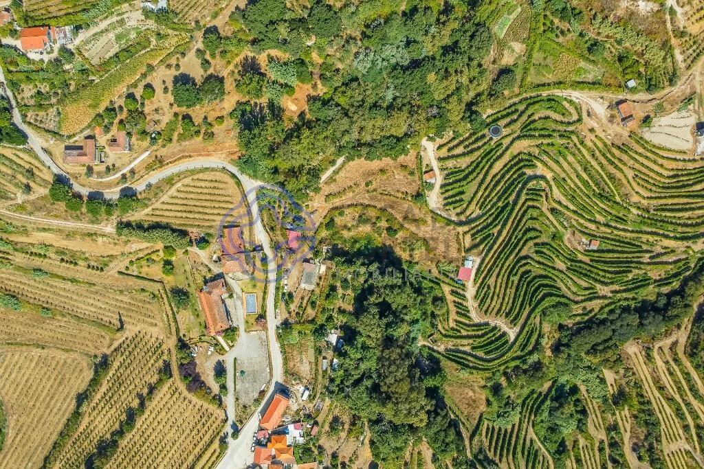 Small farm of 5750m² with existing construction and Remodeling Project in Baião