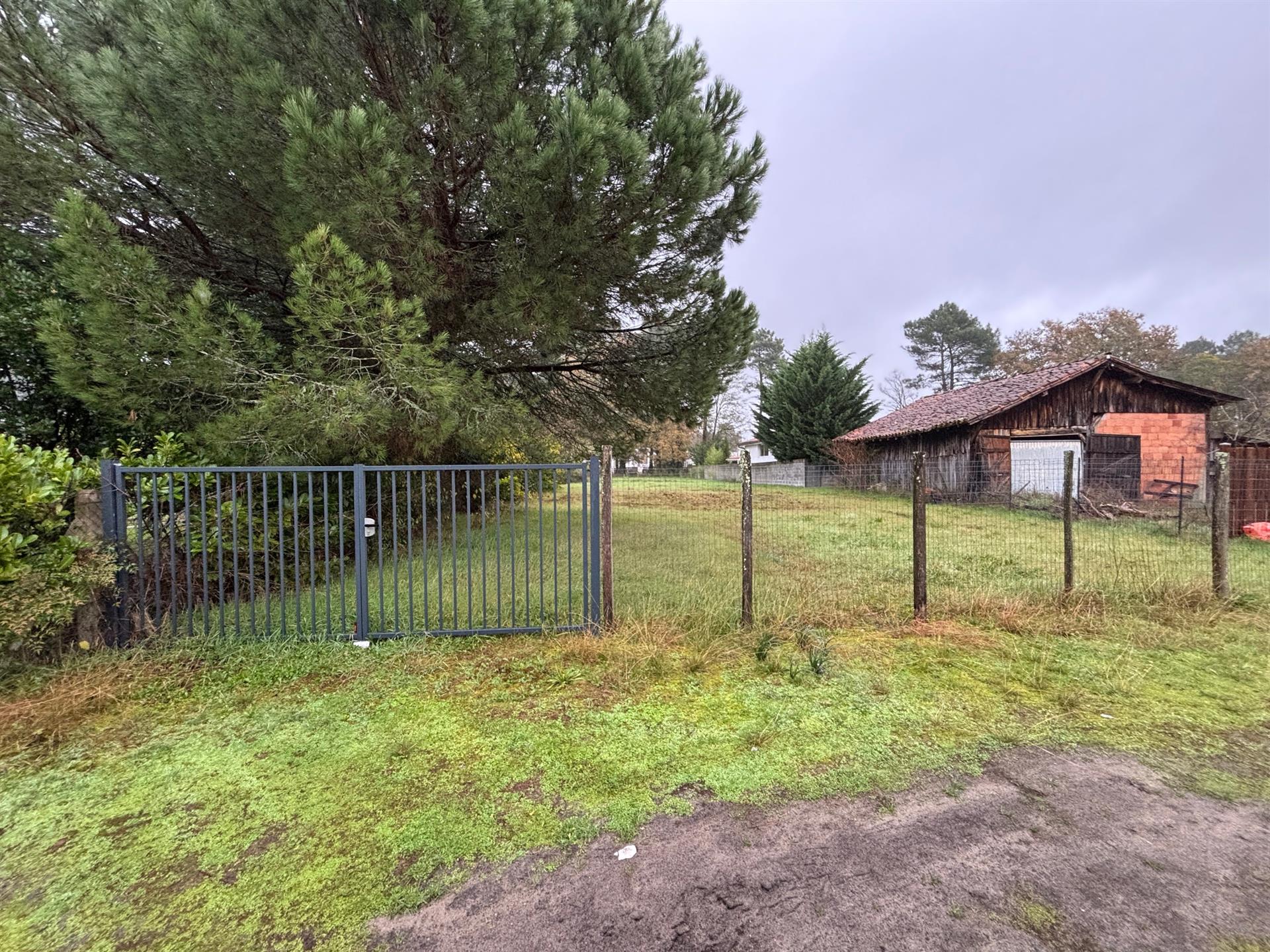 Building land