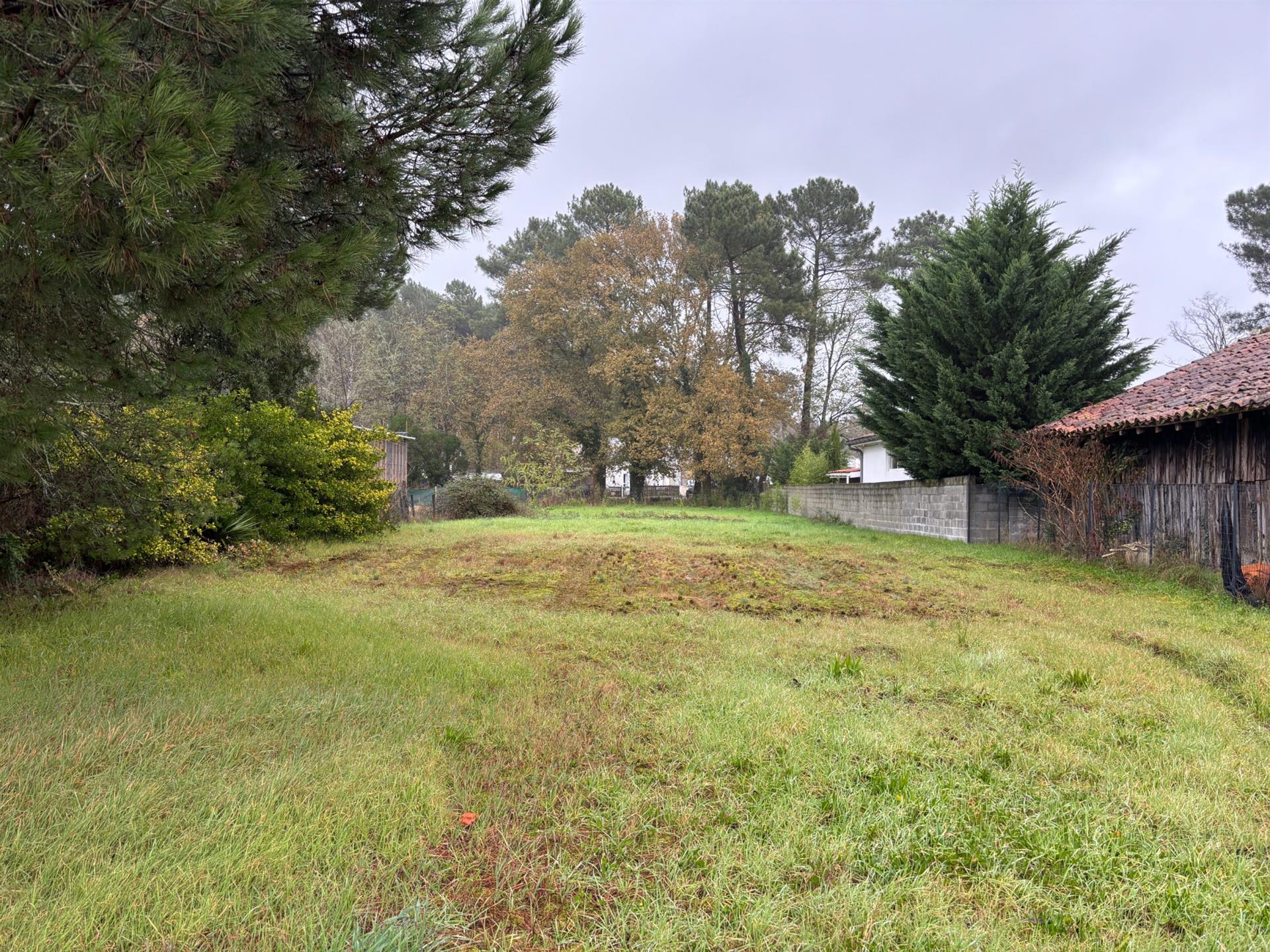 Building land
