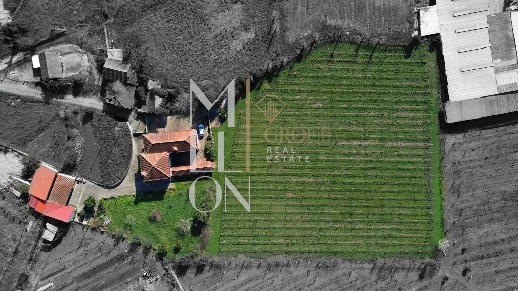 Quinta do Loureiro: Uma Casa Solar Histórica e Elegante em Lousada