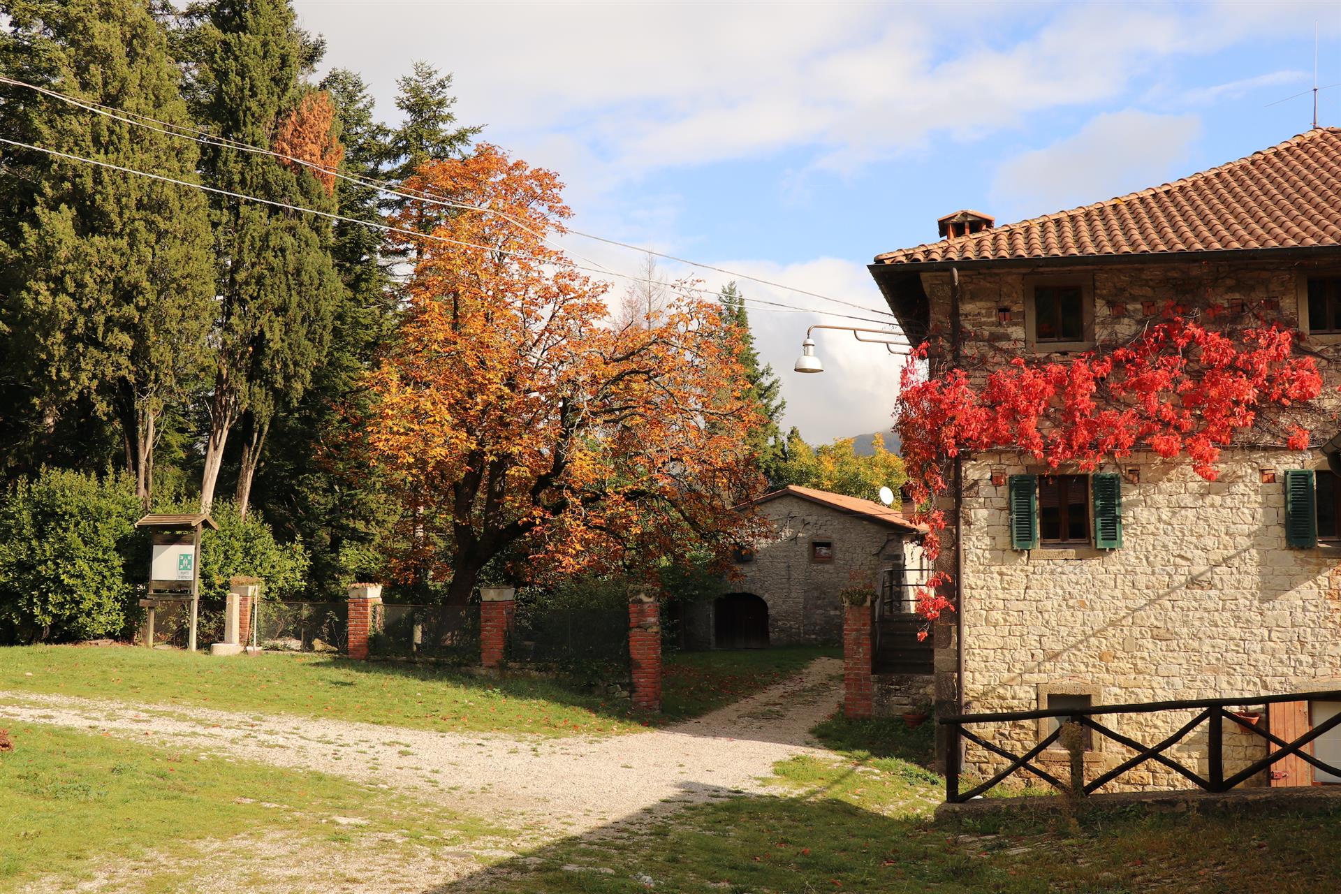 Farmhouse in Tuscany with organic farm