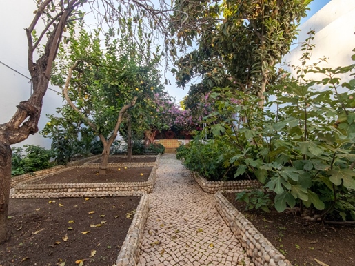 4 bedroom villa remodeled with Garden