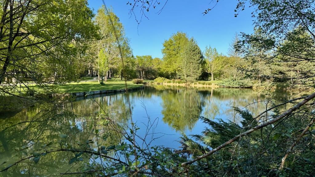 Beautiful family property 7 rooms – 150 m² of living space – Land 6,342 m² with pond & swimming pool