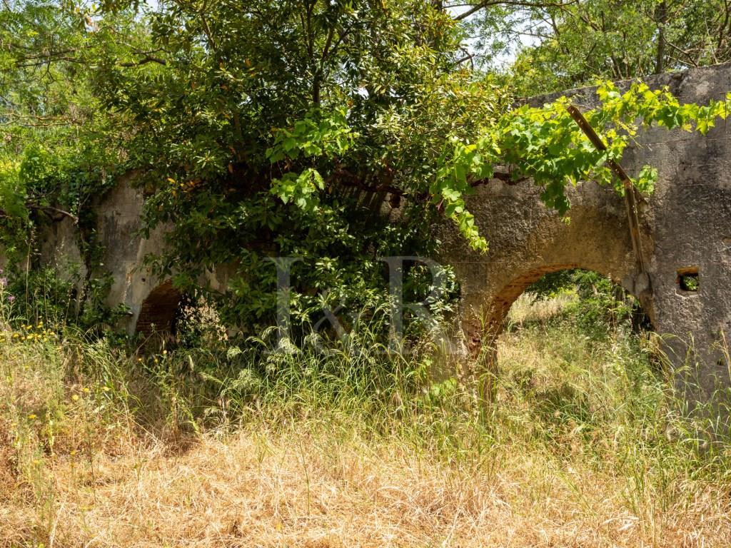 Farm with 7-bedroom villa to restore in Setúbal