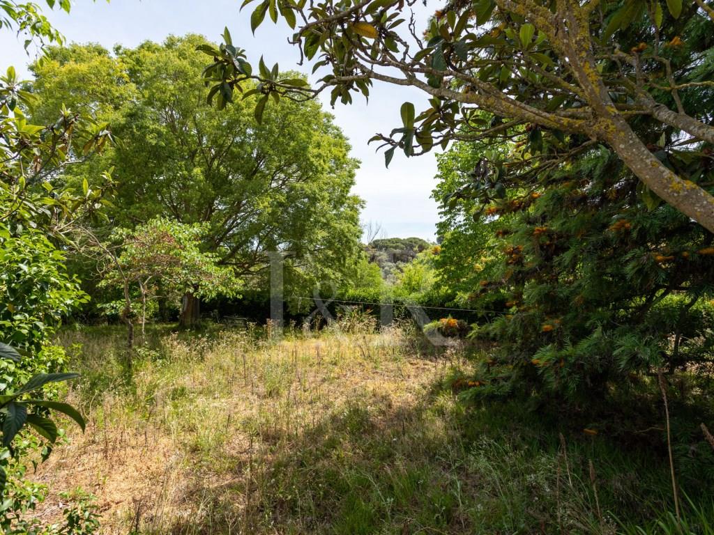 Farm with 7-bedroom villa to restore in Setúbal