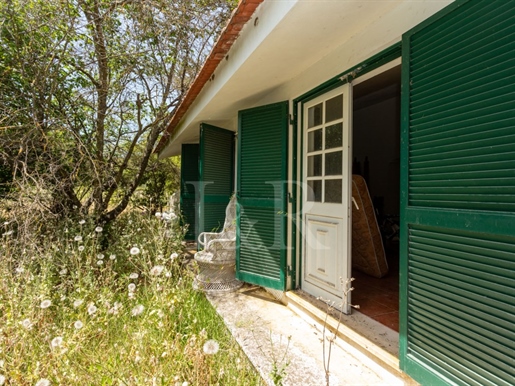 Farm with 7-bedroom villa to restore in Setúbal