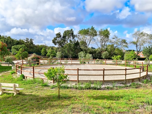 Equestrian farm with 4 acres of land in Algueirão, Sintra